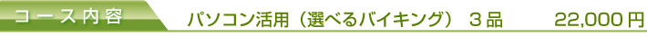 パソコン活用(選べるバイキング) 3品(コース) 21,000円